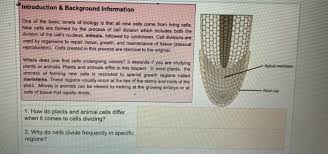 An animal cell differs from a plant cell in respect of. Introduction Background Information One Of The Chegg Com