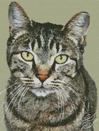Discover thousands of more patterns to print this realistic counted cross stitch pattern of a cat leaning over a fence was created from a photograph. 240 Cross Stitch Cats 2 Ideas Cross Stitch Stitch Cat Cross Stitch