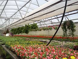 The campus includes the historic village (mansions & homesteads, merchants & services, churches & schools, tavens & town halls), the john l. 5 Tips To Help You Save Money Save Time On Your Rochester Garden