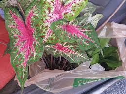 We provide tools, appliances, outdoor furniture, building. The Home Depot 835 Market St Westminster Md 21157 Usa