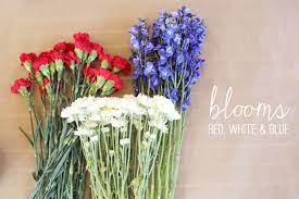 We did not find results for: Diy Fourth Of July Centerpiece Thoughtfully Simple