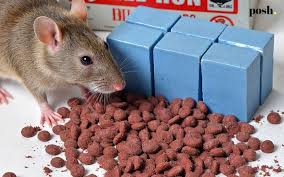 Image result for ratpoison