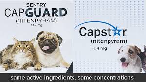 See everything that's on sale! Generic Alternatives To Capstar For Dogs And Cats Fleascience