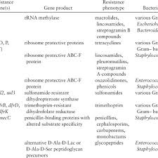 Is shows that not only advantages for companies are important. Examples Of Resistance To Antimicrobials By Target Modification Download Table