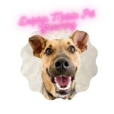 Get quotes in minutes and book a mobile dog groomer. Mobile Pet Grooming Tamiami Mobile Pet Grooming Kendall