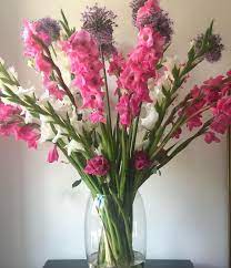 We did not find results for: Miss Daisy Fresh Dutch Flowers Bouquet Subscriptions And Workshops Posts Facebook