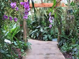Orchid Greenhouse At Marie Selby Botanical Gardens In Sarasota Florida Botanical Gardens Botanical Plants