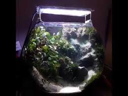 Dengan bentuk unik dan simpel ini, sangat cocok untuk meja kerja atau ruang tamu, aquarium jenis ini biasanya di lengkapi dengan lampu , bisa di gunakan. Aquascape Waterfall Paling Unik Nano Tank Youtube