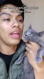 no estoy locooo, es amooorrr gatuno #mascotas2 #gatosfofos #cattok #pet  #petstagram #cat #gato #cats #mascotasfelices #mascota #pets #gatosgraciosos
