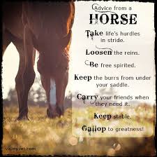 Advice From A Horse Take Life S Hurdles In Stride Loosen The Reins Be Free Spirited Keep The Burrs From Under Your Sadd Horses Horse And Human Horse Quotes
