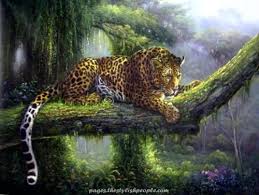 Breathtaking Jaguar Animal Photos Wild Animals Gallery February 2008 Jaguar Animal Animals Wild Animal Art