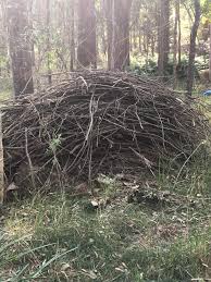 Give this a try, or simply enjoy the cocktail any time you like. What A Faggot Faggots