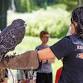 Raptor Encounter – Bear River State Park