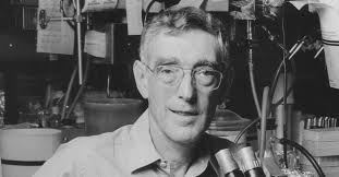 Bruce Ames, 95, Dies; Biochemist Discovered Test for Toxic Chemicals