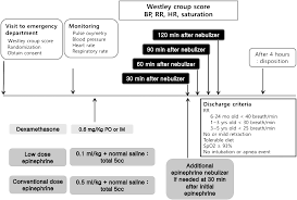 Image result for Croup Score