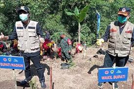 Berikut cara tanam porang yang benar sekaligus jenis porang yang laku di pasaran. Banyak Petani Porang Jadi Jutawan Bupati Madiun Pengembangannya Harus Perhatikan Aspek Ekologi Halaman All Kompas Com