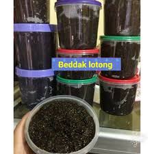 (this etymology is missing or incomplete. 1 Kg Bedak Lotong Bedda Lotong Khas Bugis Shopee Indonesia