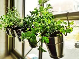 First, find a window that gets at least six hours of bright sun each day. 30 Phenomenal Indoor Herb Gardens