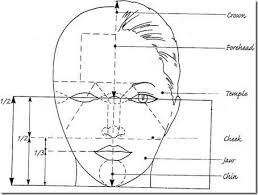 Draw Faces Face Proportions Portrait Drawing Facial Proportions
