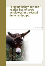 To decide which types of landscape trees are best for your yard, you have to think in terms of the different but some maples native to north america or europe are equally beautiful as autumn trees, and they are larger. Phd Indra Lamoot 2004 Universiteit Gent