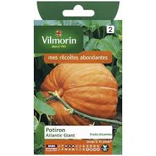 Pin By Inal Chams On Plante In 2020 Fruit Pumpkin Atlantic