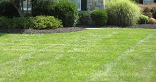 We provide no hassle free estimates for all of our lawn care services. Lawn Care In Centreville Fairfax County Northern Virginia