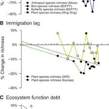 Pdf Habitat Fragmentation And Its Lasting Impact On Earth Ecosystems