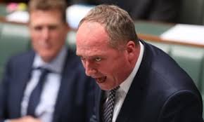 Barnaby Joyce controversy needs swift resolution, Warren Truss says