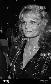 Cathy Grainger's Instagram, Twitter & Facebook