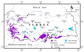 The malaysian contingent emerged overall champions with the largest gold medal collection with 145 gold, 92 gold and 86 bronze medals, surpassing the 2001 sea games. Agronomy Free Full Text An Overview Of Olive Cultivation In Turkey Botanical Features Eco Physiology And Phytochemical Aspects Html