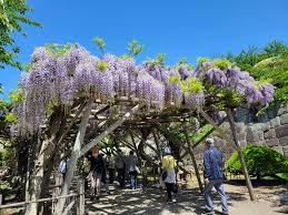 函館市地域交流まちづくりセンター