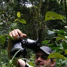 Image result for Liparis killmanniae