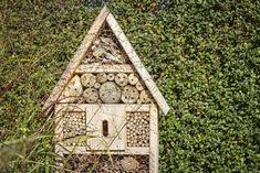 Insektenfreundlicher Garten Tipps Fur Mehr Artenvielfalt Plantura In 2020 Garten Gestalten Garten Insekten