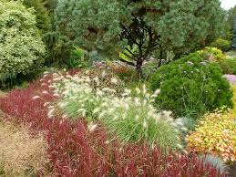 Foggy bottom has been developed by adrian since. Garden Review The Bressingham Gardens Norfolk