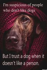 I Don T Trust People Who Don T Like Dogs Dog Quotes Dog Love Dogs