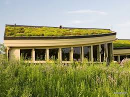 Roof Maintenance Steps