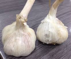 Bawang merah bawang putih (tv series). Bawang Tagalog To English Dictionary Online