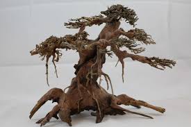 Bonsai Driftwood Aquarium Moss Tree Perfect For Positioned Amongst Plants And Rocks To Create The Natural Bonsai Trees For Sale Bonsai Tree Bonsai Tree Care