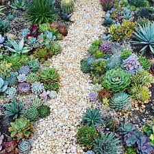 Pin By Daysotherdie On Garden In 2021 Succulent Garden Design Succulent Garden Landscape Succulent Garden Outdoor