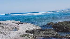 Mulai dari pantai sayang heulang hingga pantai manalusu, berikut deretan pantai di garut selatan dengan pemandangan yang ciamik. Pantai Taman Manalusu Garut Tribunnewswiki Com Mobile