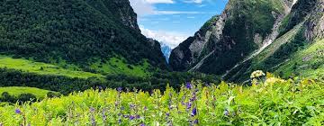 Check spelling or type a new query. Valley Of Flowers Uttarakhand Tourism