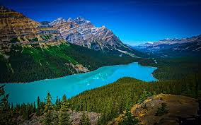 See more 1860 wallpaper, new hampshire 1860 wallpaper, 1860 reproduction wallpapers, 1860 colt wallpaper, tracker grizzly 1860 wallpaper, 1860 henry desktop wallpaper. 1860 1080p 2k 4k 5k Hd Wallpapers Free Download Wallpaper Flare