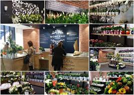 Monceau Fleurs Nantes Beausejour Interieur Jaf Fleuriste Monceau Fleurs Fleuriste Fleurs