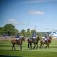 Gold Cup Semi-Finals - Cowdray Park Polo Club, Easebourne Event Image