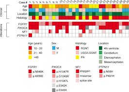 The rosetta stone and a reconstruction of how it would have originally looked. Rosette Forming Glioneuronal Tumors Share A Distinct Dna Methylation Profile And Mutations In Fgfr1 With Recurrent Co Mutation Of Pik3ca And Nf1 Springerlink