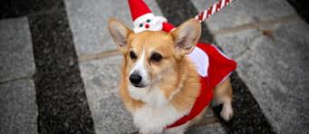 Director, corporate communication centre, universiti malaysia terengganu (umt), 21030 kuala terengganu, terengganu, malaysia. Derek Black Page 656 World Stock Market