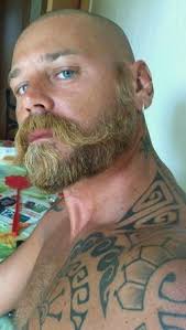 Pin by Professor Yaffle