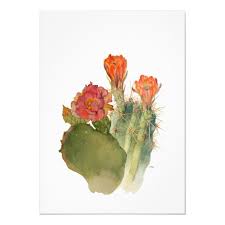 The term shower is often assumed to mean that the expectant mother is showered with gifts. Engagement Fiesta Cactus Flowers Watercolor Script Invitation Zazzle Com Watercolor Flowers Watercolor Invitations Flower Girl Invitation