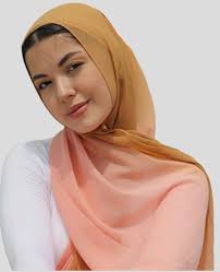 Pastel Color Chiffon