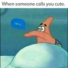 When Someone Calls You Cute Funny Meme Grappige Memes Grappig Memes